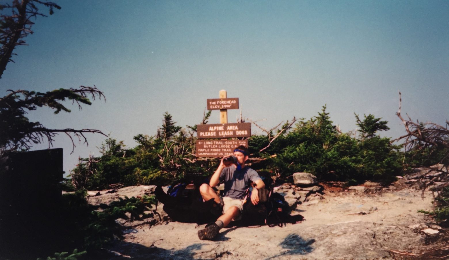 On the Forehead of Mt. Mansfield