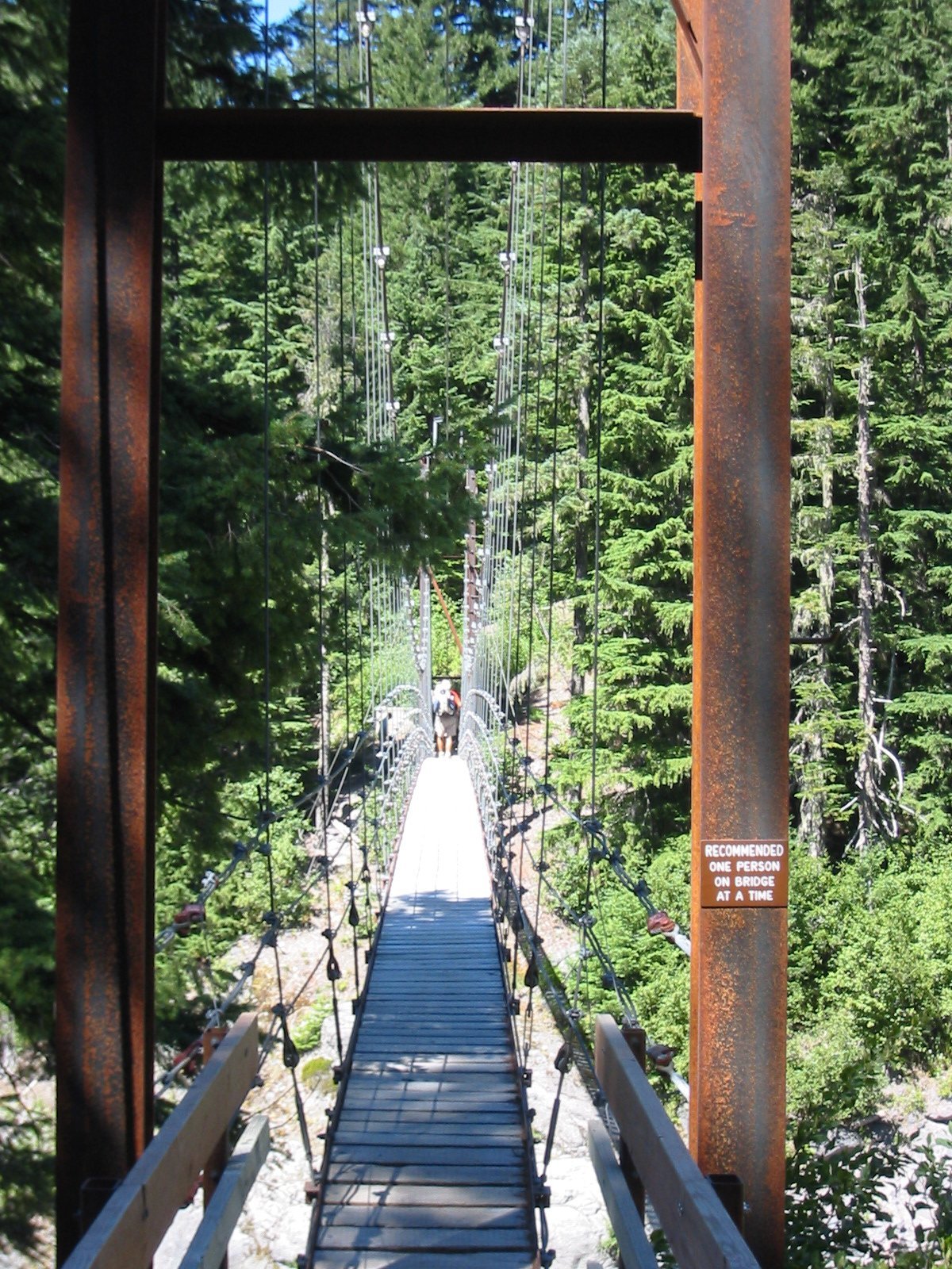 Tahoma Creek suspension bridge 2