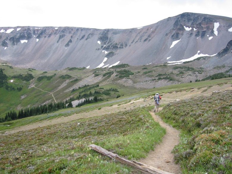 Trail rounding endless meadow