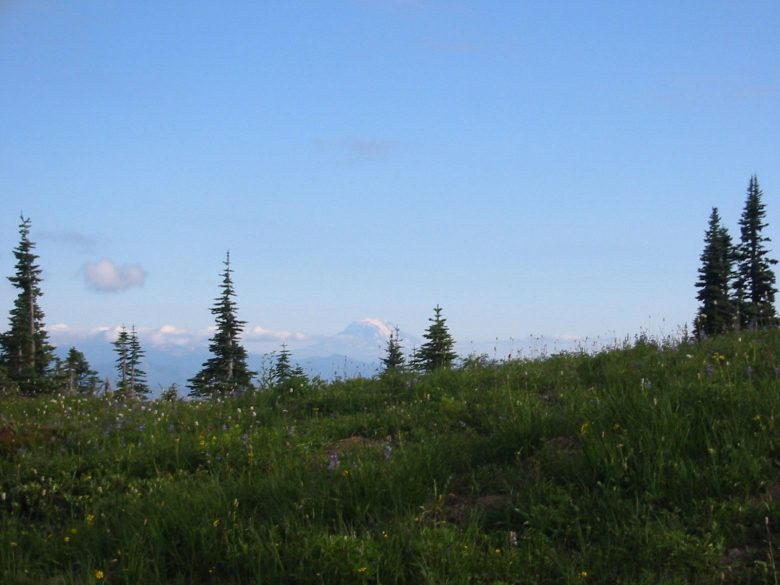 View of Mt. Adams 1