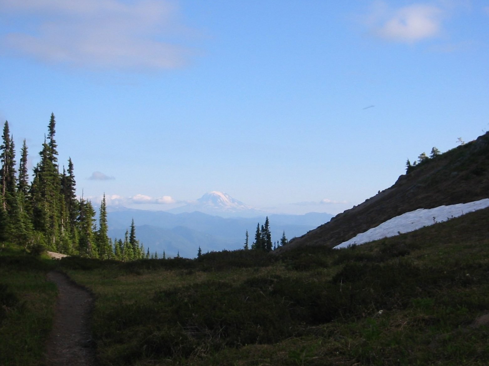 View of Mt. Adams