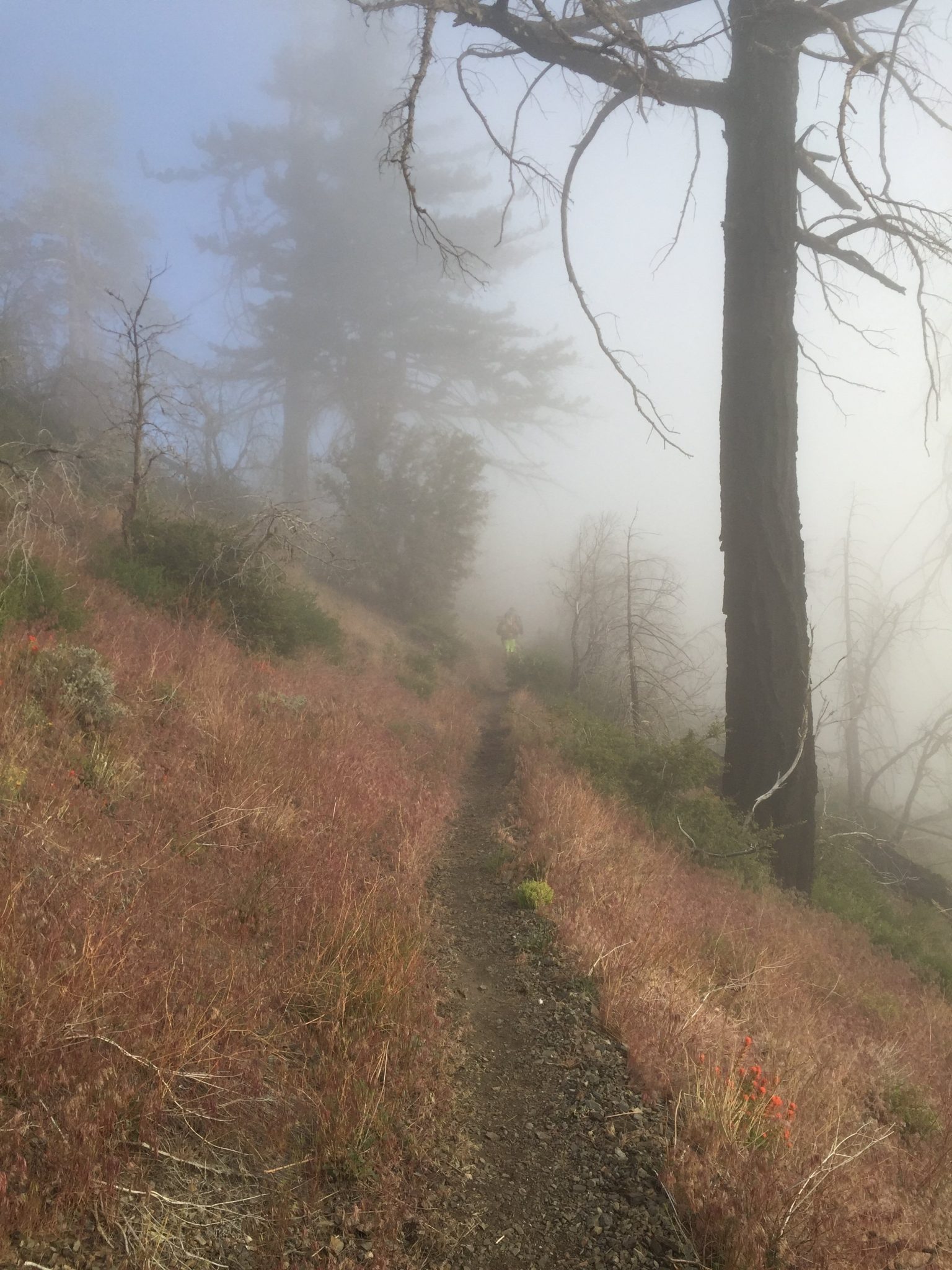 Climbing out of the clouds