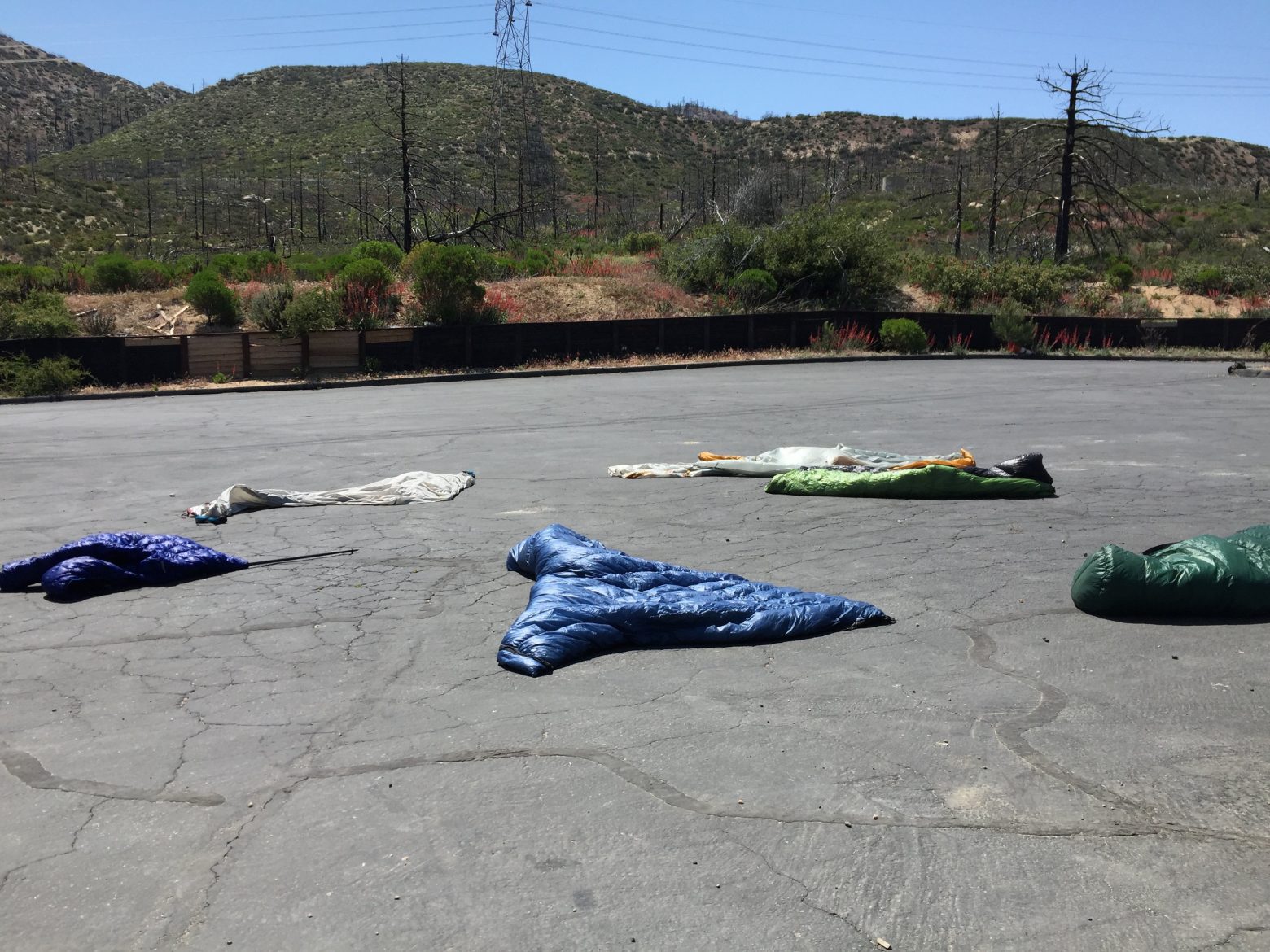 Sleeping bags drying in the sun on pavement