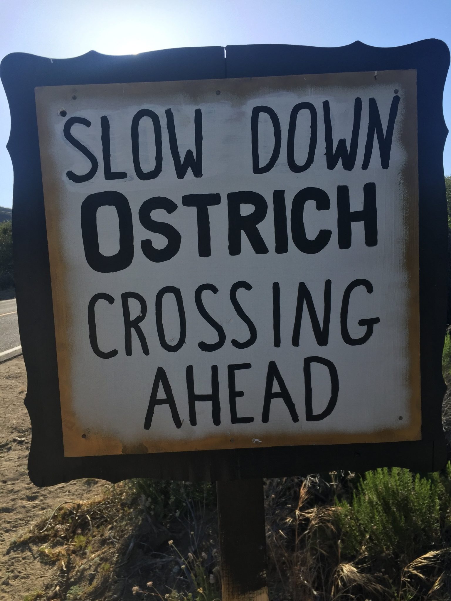 Ostrich crossing sign