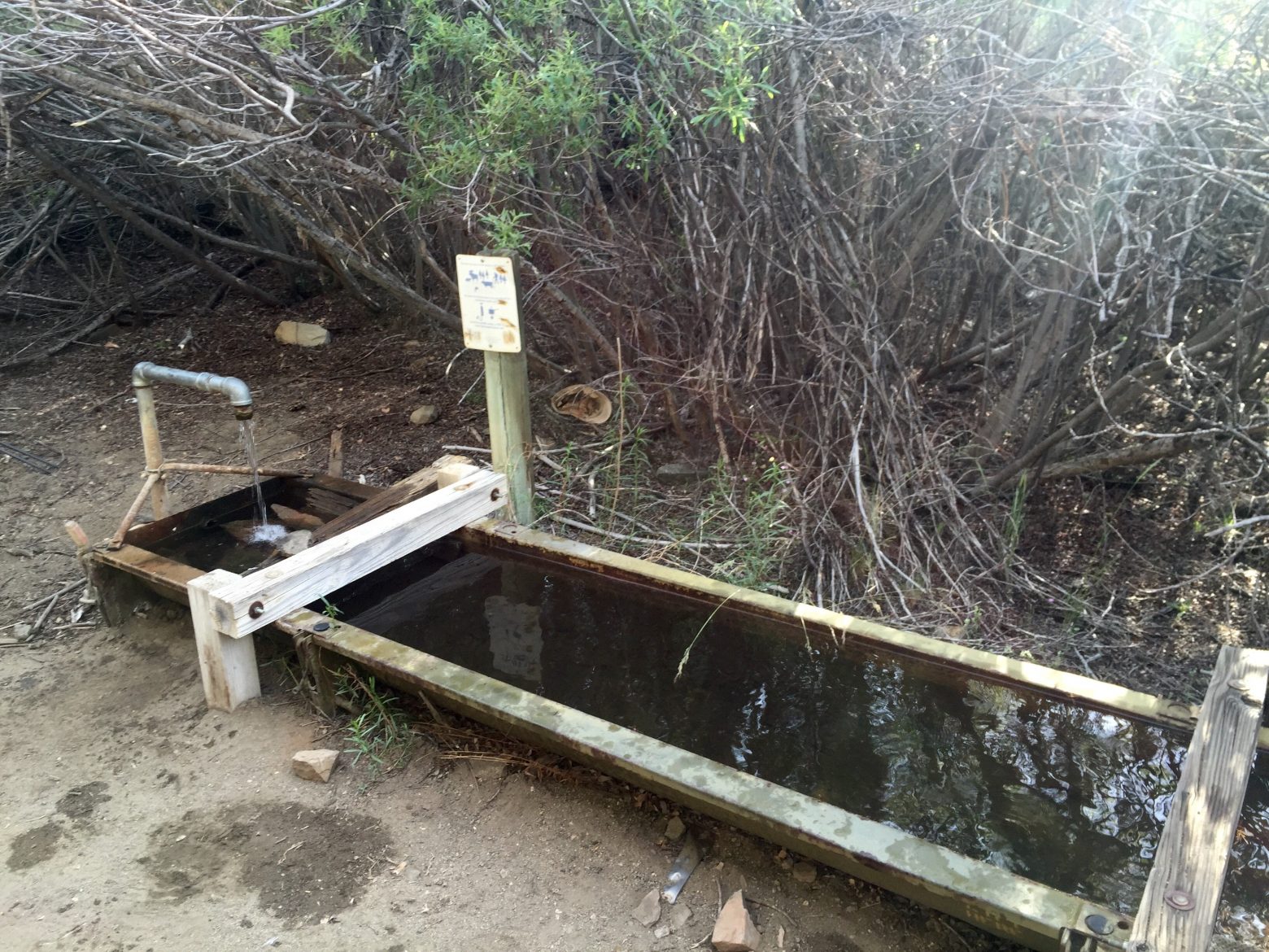 Beautiful water trough with spigot