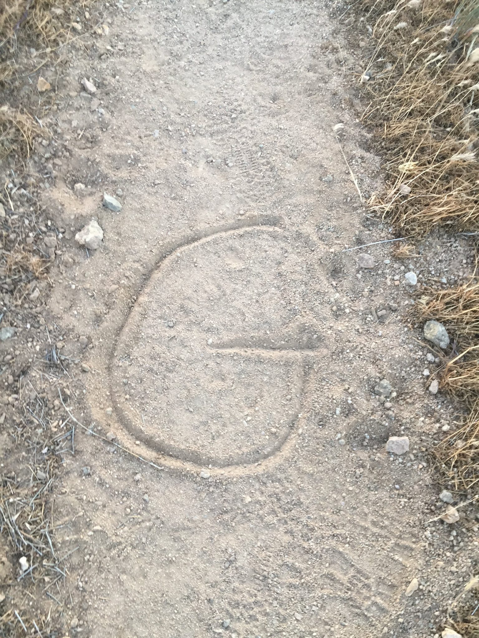G for Gazelle written in the trail