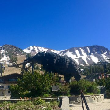 Mammoth Mountain ski area
