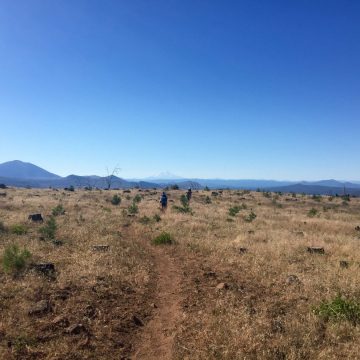Low grass plateau on Hat Creek Rim