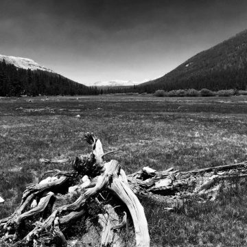 Lyell Canyon