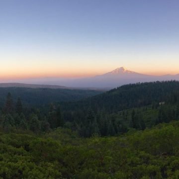 Mt. Shasta looming in the distance
