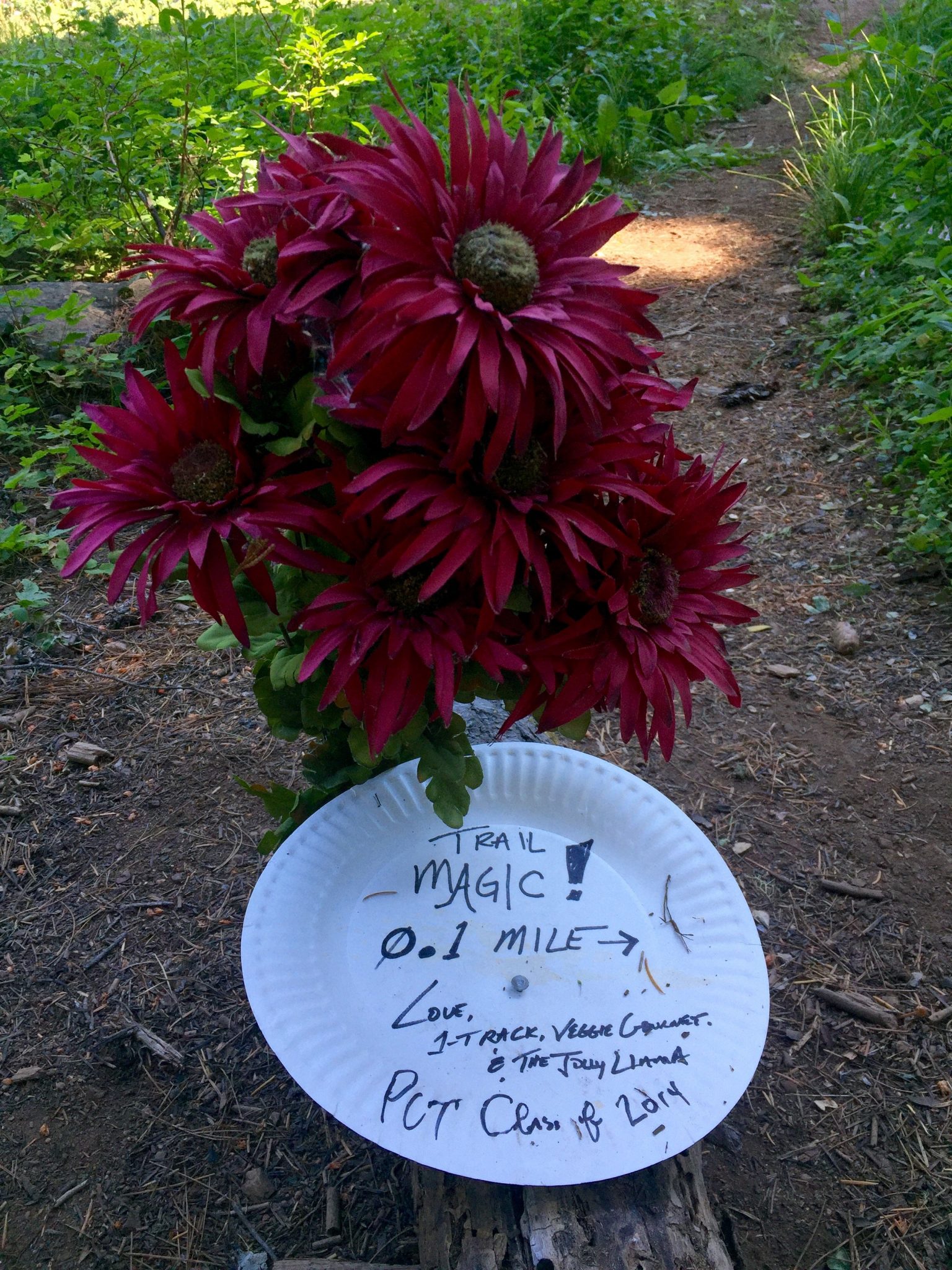 Handwritten message on a paper plate inviting us to trail magic at Le Bistro