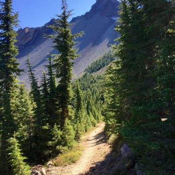 Sunny trail pointing to a Mt. Thielsen summit that looks like a mini Matterhorn