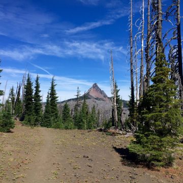 A shark-toothed shape Mt. Washington high above the PCT