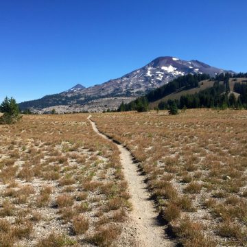 Trail through open meadow with volcanoes towering above
