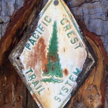 Original PCT marker deep in the bark of a tree