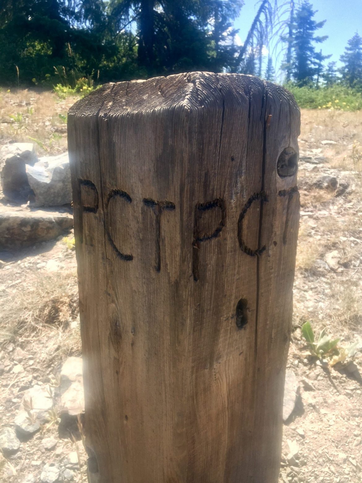 Small wooden post with PCT carved into it