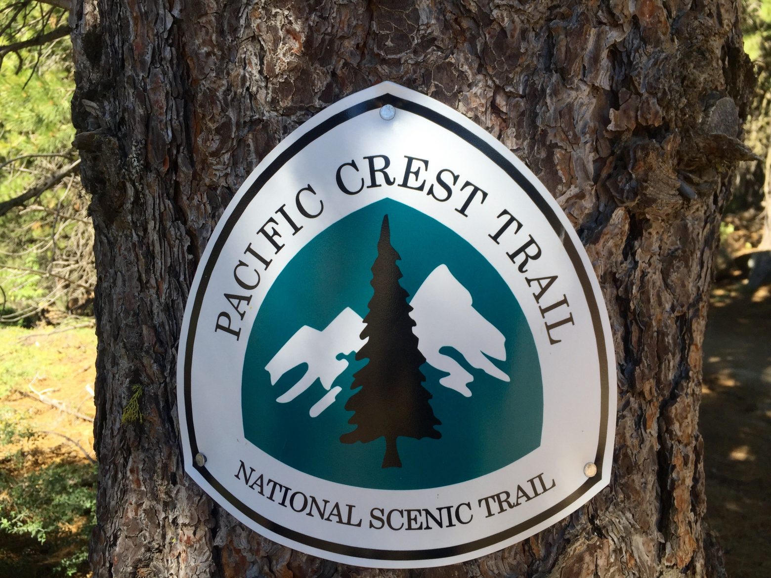 Trail marker with new PCT logo
