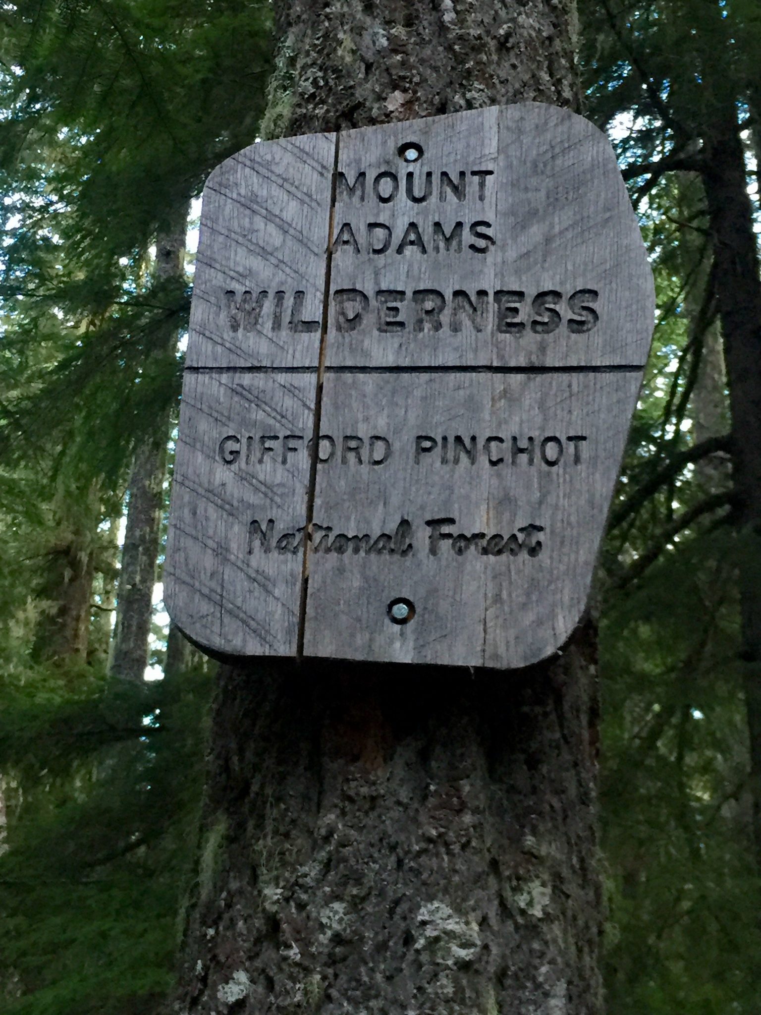 Enter Mount Adams Wilderness Sign marking boundary of Mount Adams Wilderness