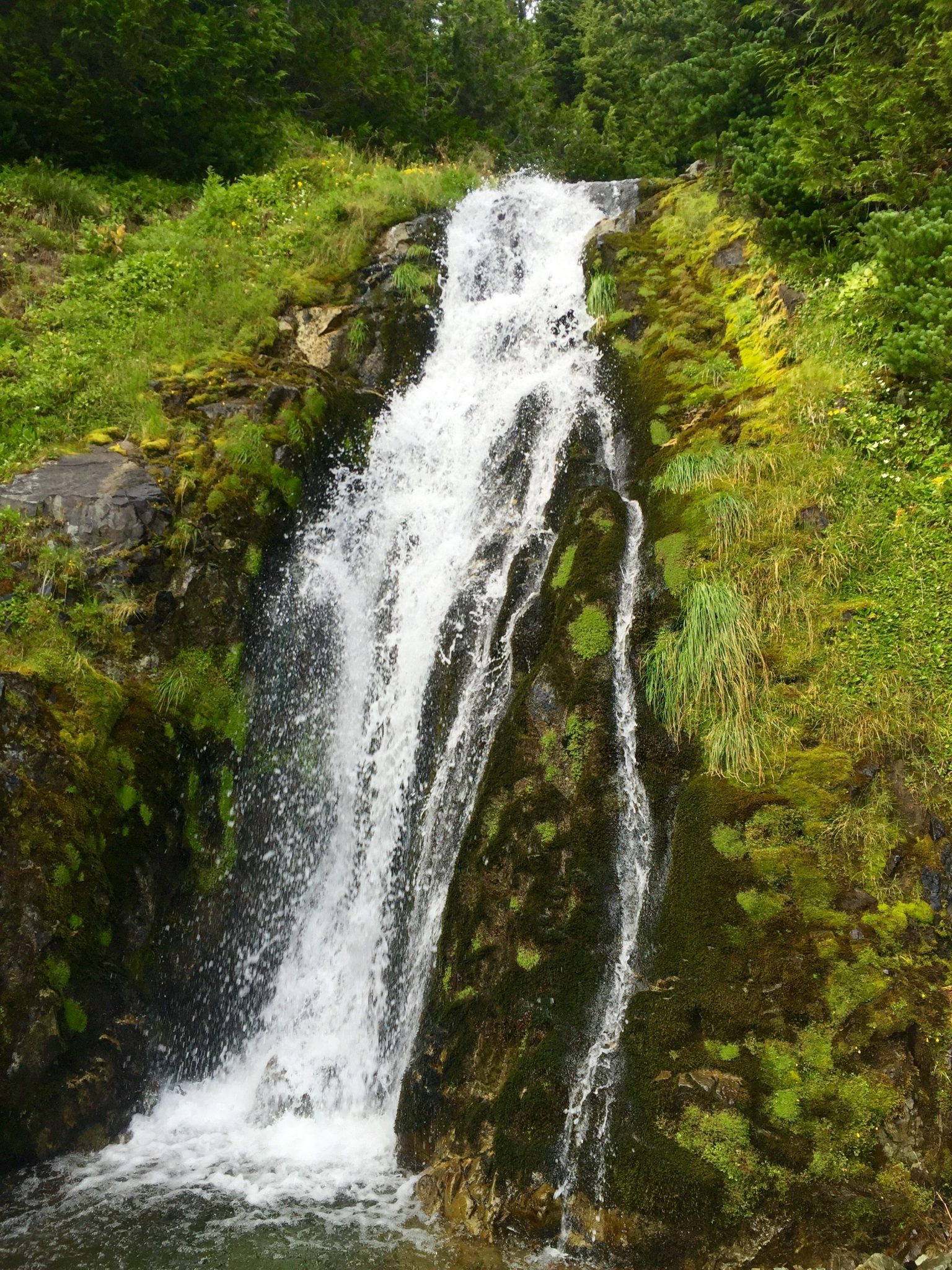 Gushing waterfall alongside the PCT in Cispus Basin