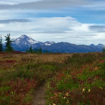 View of Glacier Peak from an alpine meadow