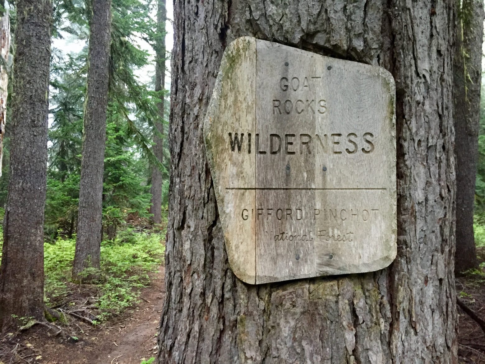 Sign marking boundary of Goat Rocks Wilderness area