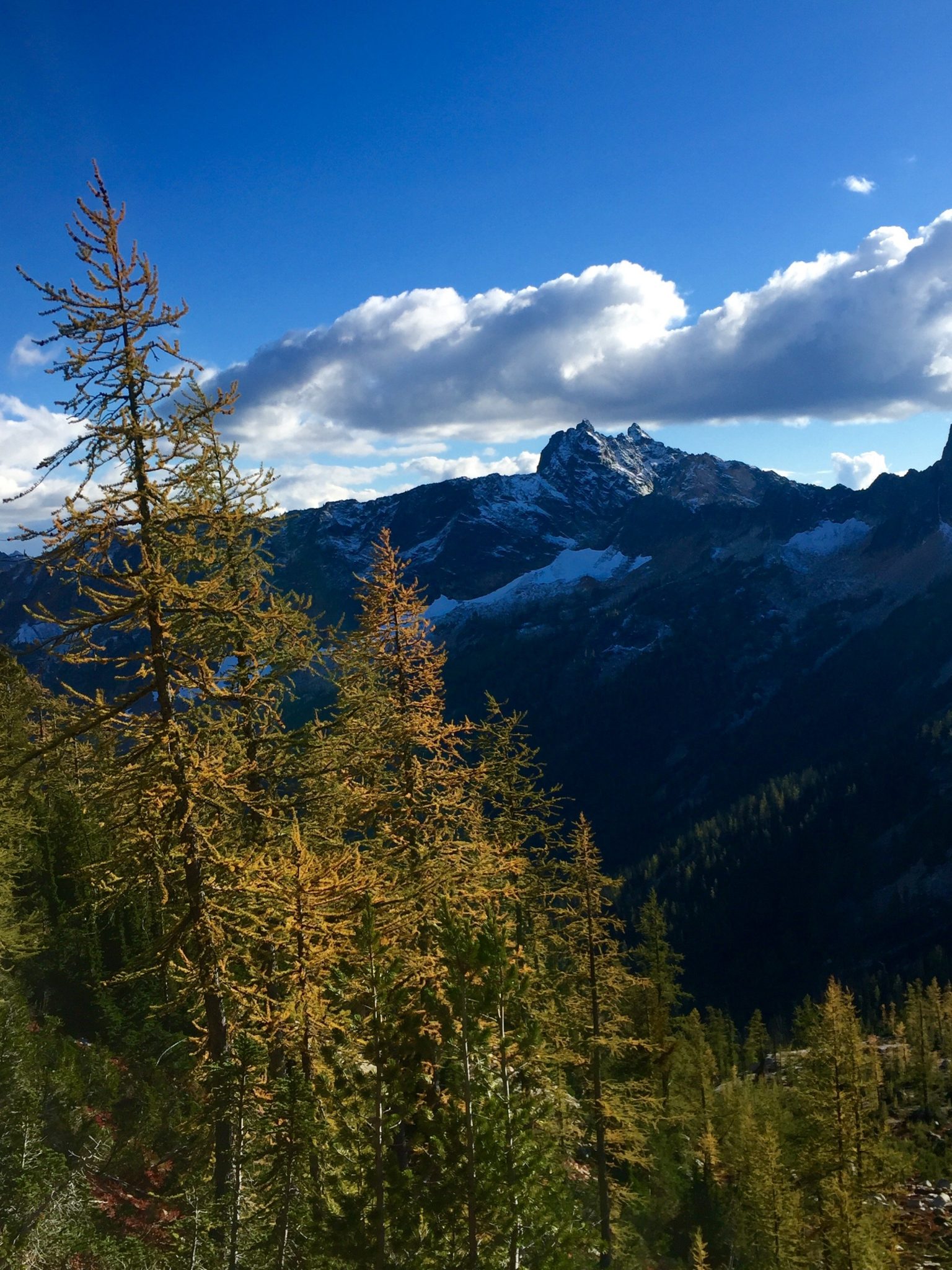Golden larches and snow dusted peaks in the North Cascades