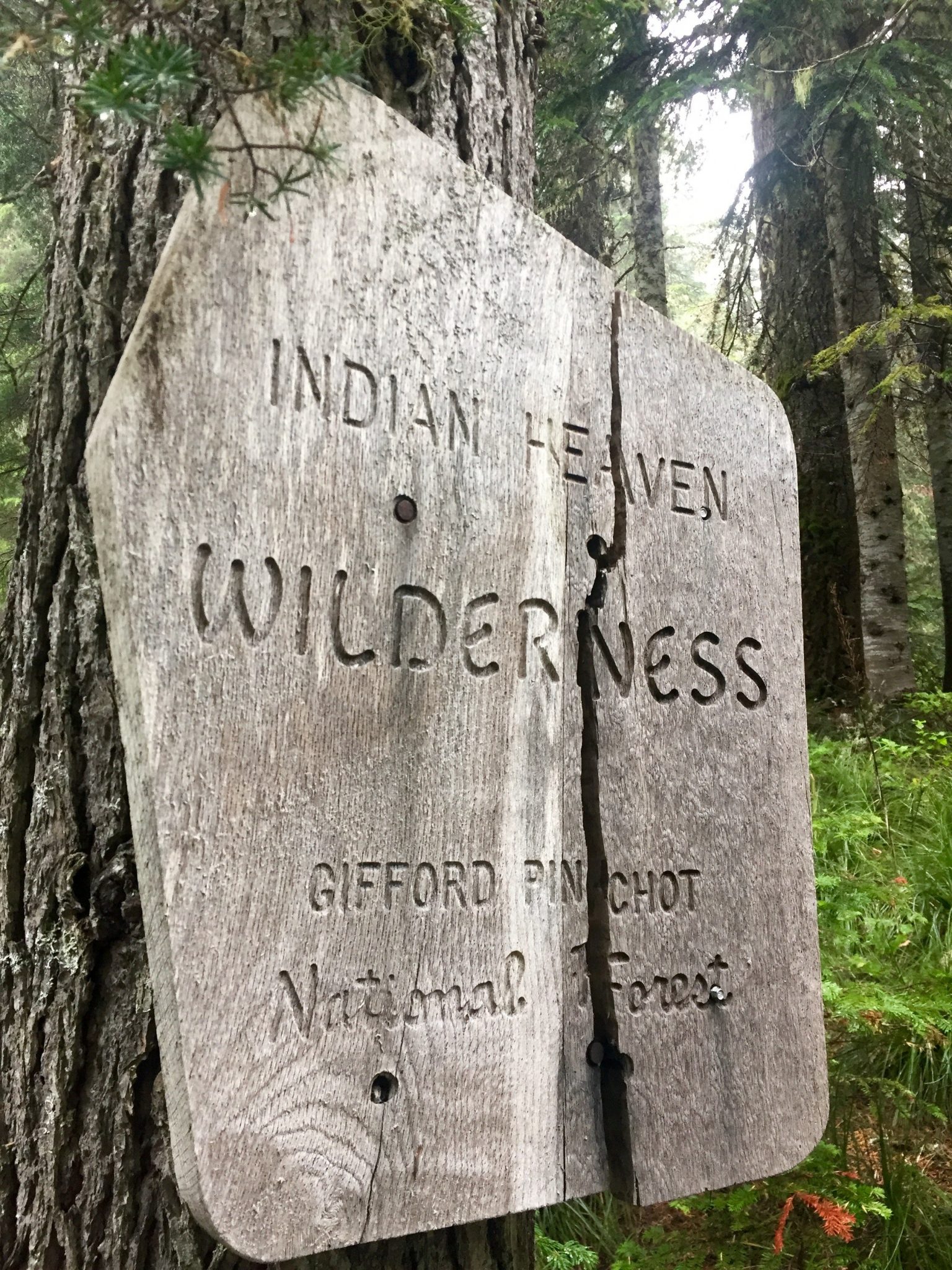 Sign marking the boundary of Indian Heaven Wilderness