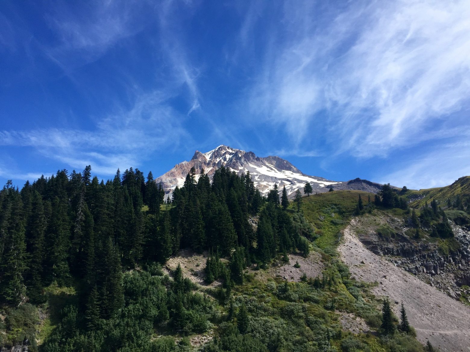 Mount Hood rising high above the PCT