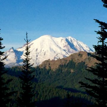 Snow covered slopes of Mount Rainier dominating the skyline against a cloudless blue sky