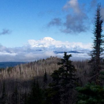 Mount Rainier rising through the clouds