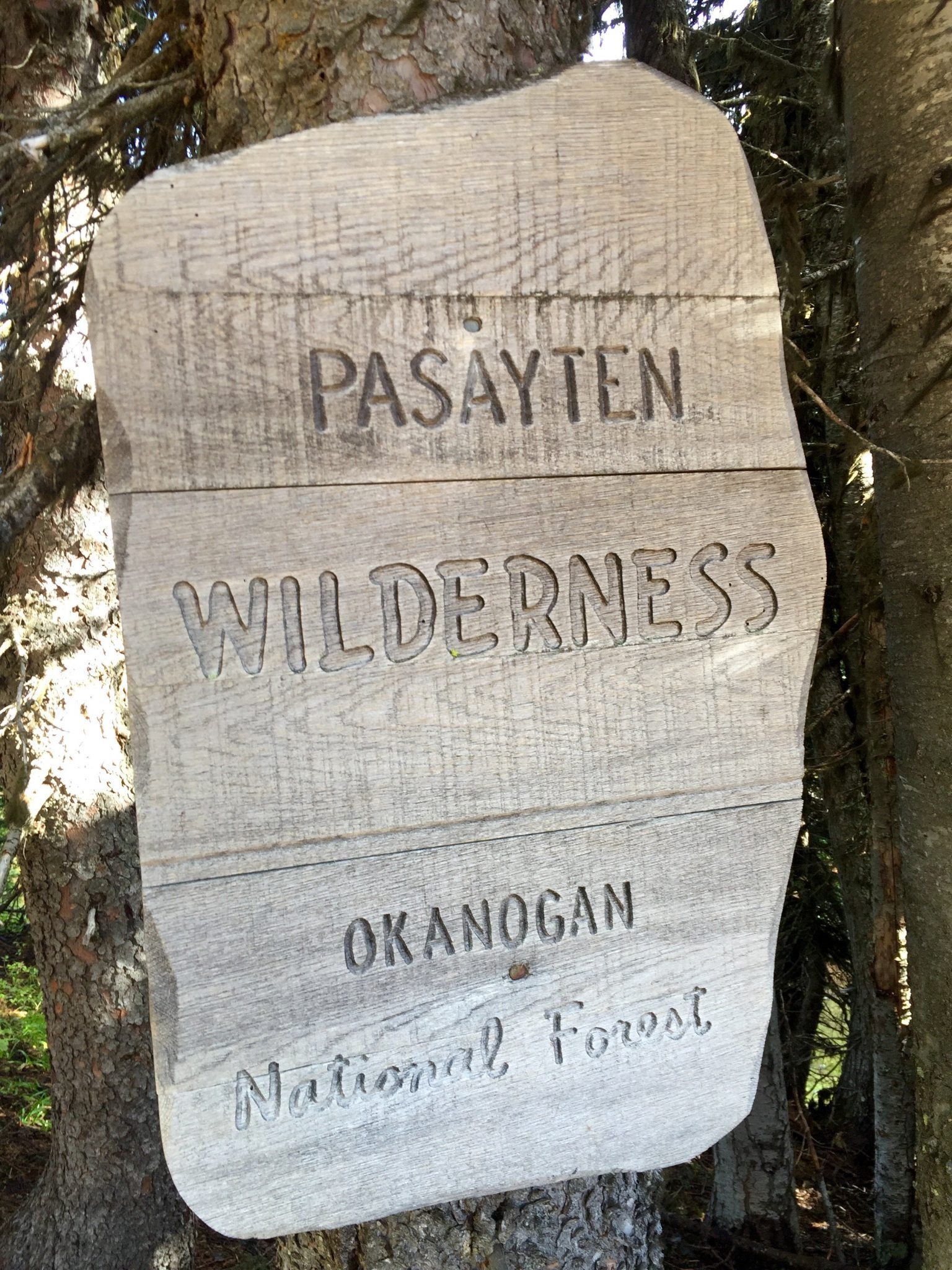 Sign marking the boundary of the Pasayten Wilderness