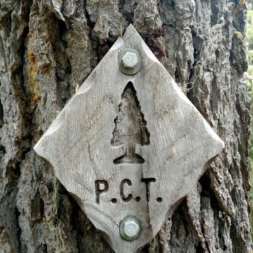 Rare wood carved PCT trail marker nailed to a tree