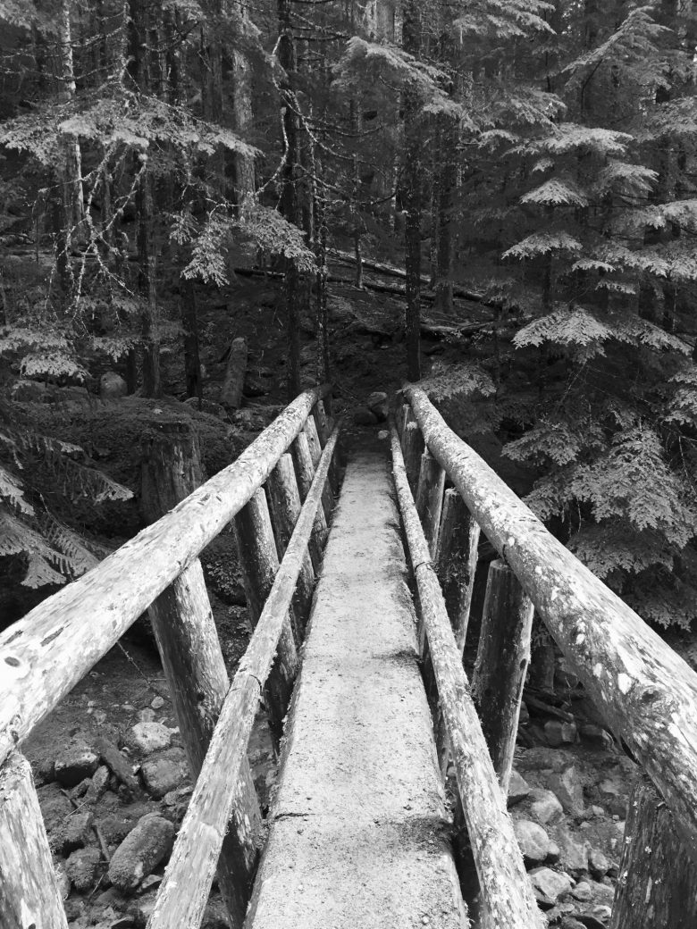 Black and white wooden log bridge crossing Miners Creek