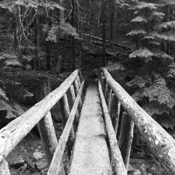 Black and white wooden log bridge crossing Miners Creek