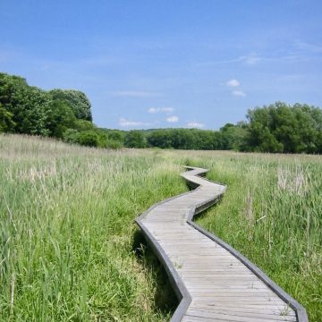 Boardwalk through NJ wetlands