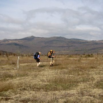 Nails and Scarf crossing the Grayson Highlands