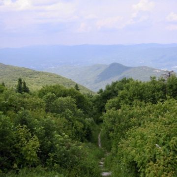 Descending Mt. Greylock