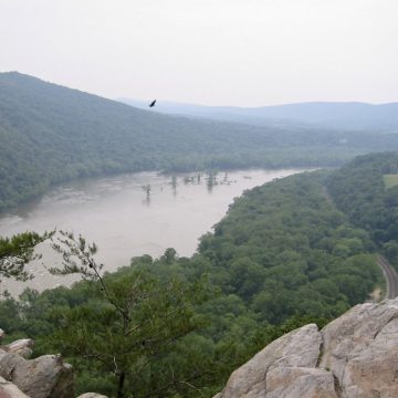 Potomac River from Weverton Cliffs