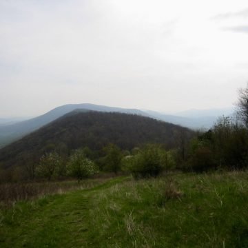 Rolling along Virginia hills