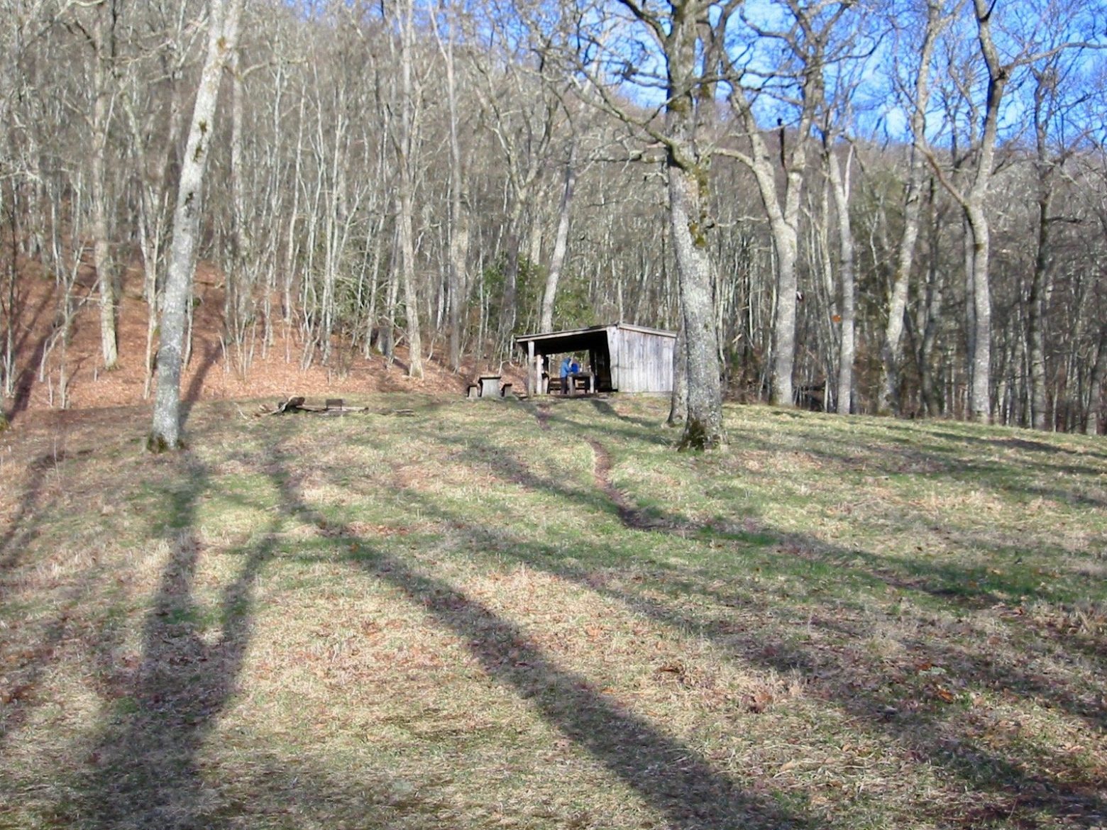 Siler Bald shelter