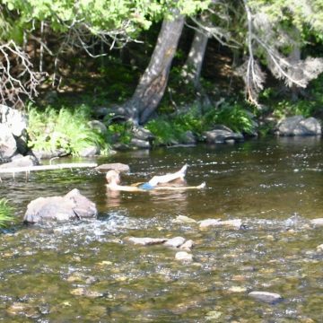 Soaking in West Branch Piscataquis River