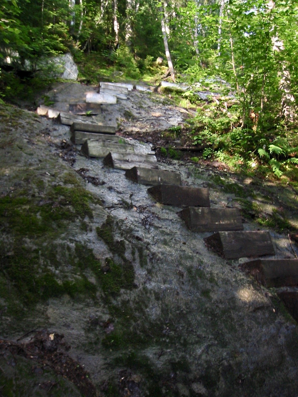 Stairs along Beaver Brook