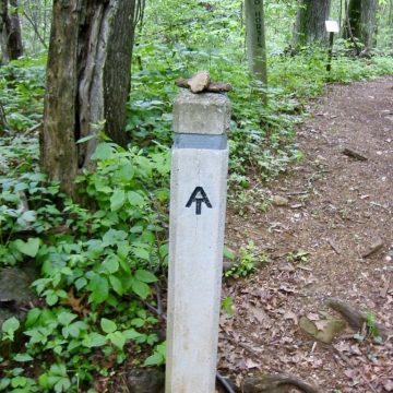Stone AT marker in SNP