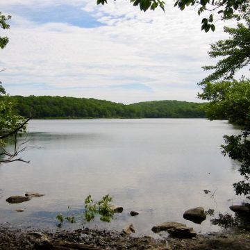 Sunfish Pond