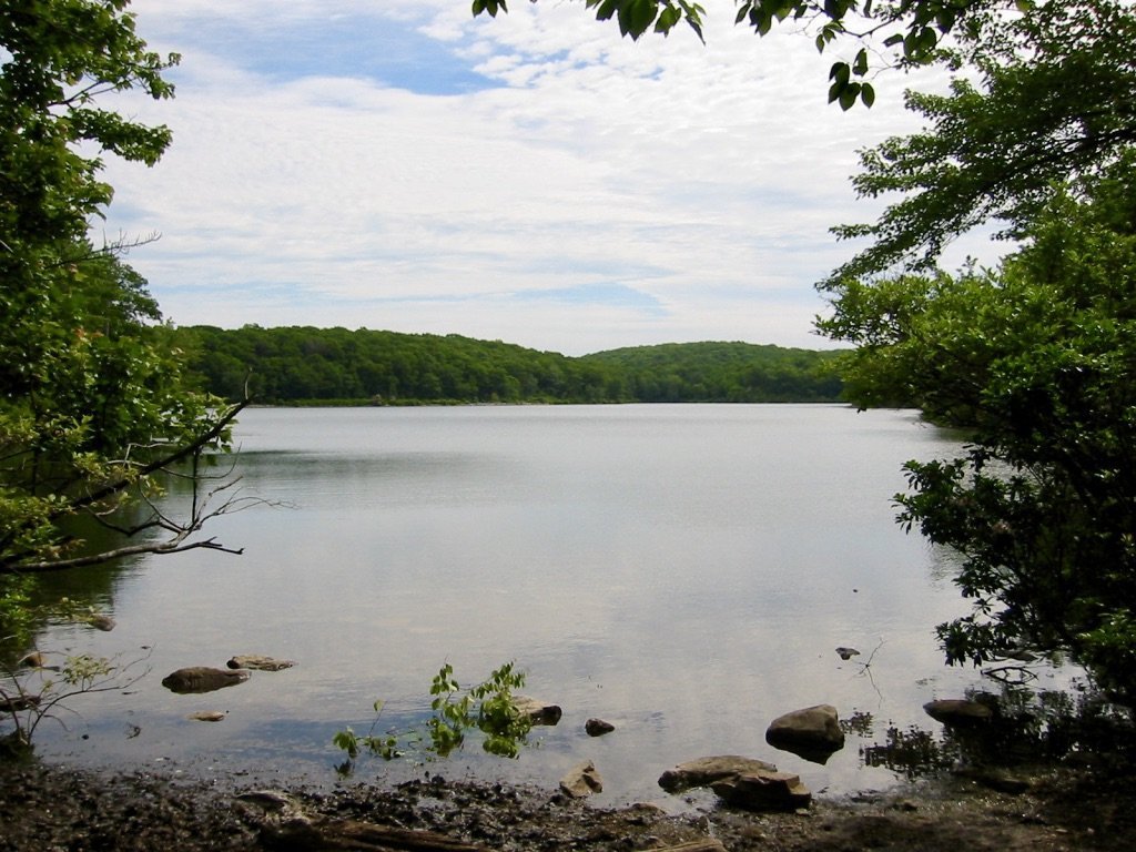 Sunfish Pond Sunfish Pond