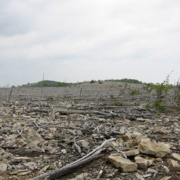 Superfund site north of Lehigh Gap