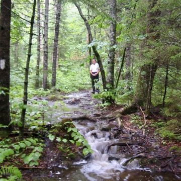Trail becoming a river