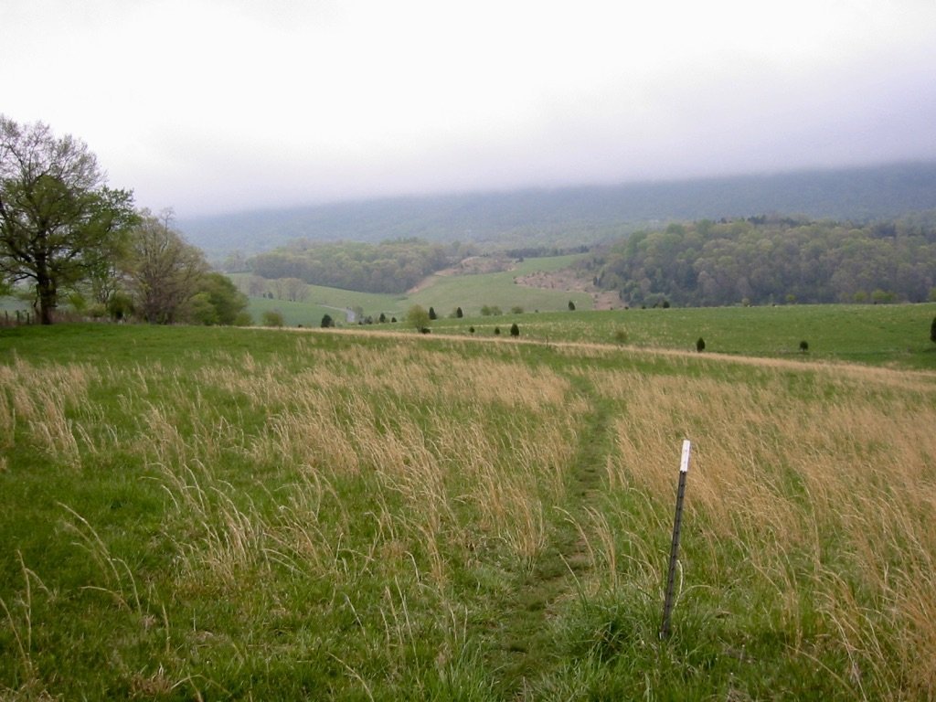 Trail through Virginia field