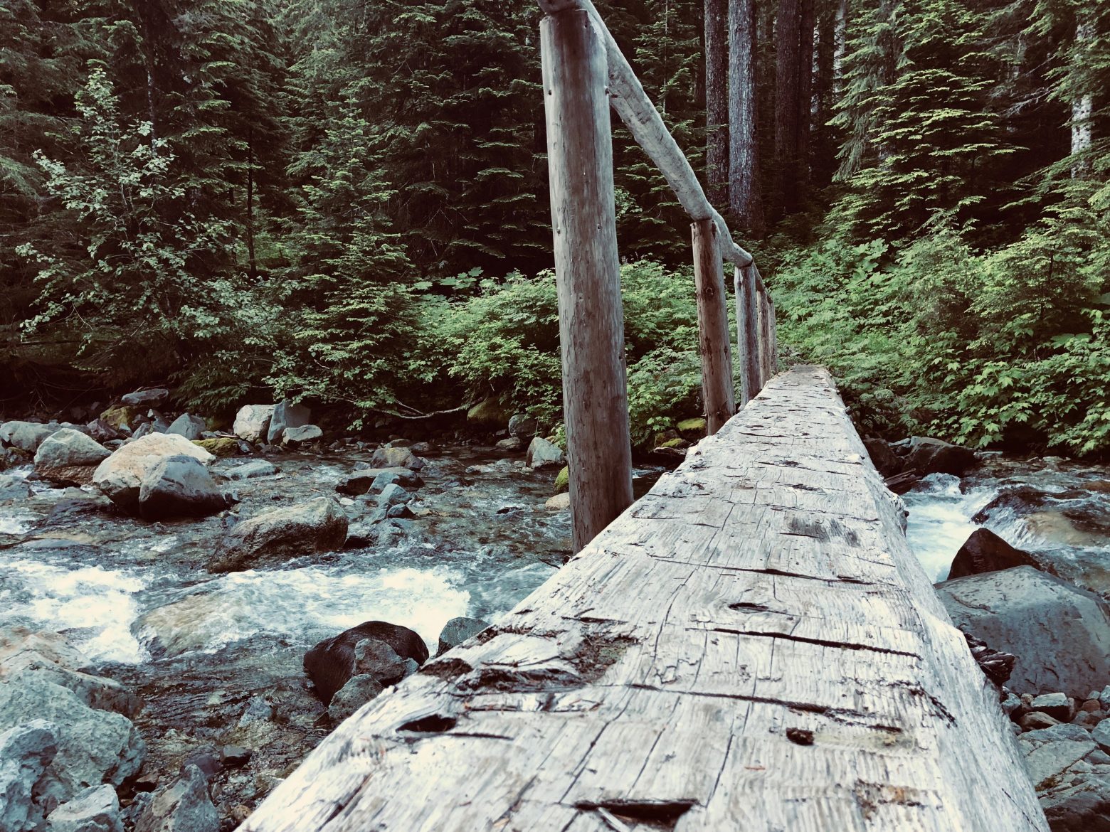 Log over Cataract Creek