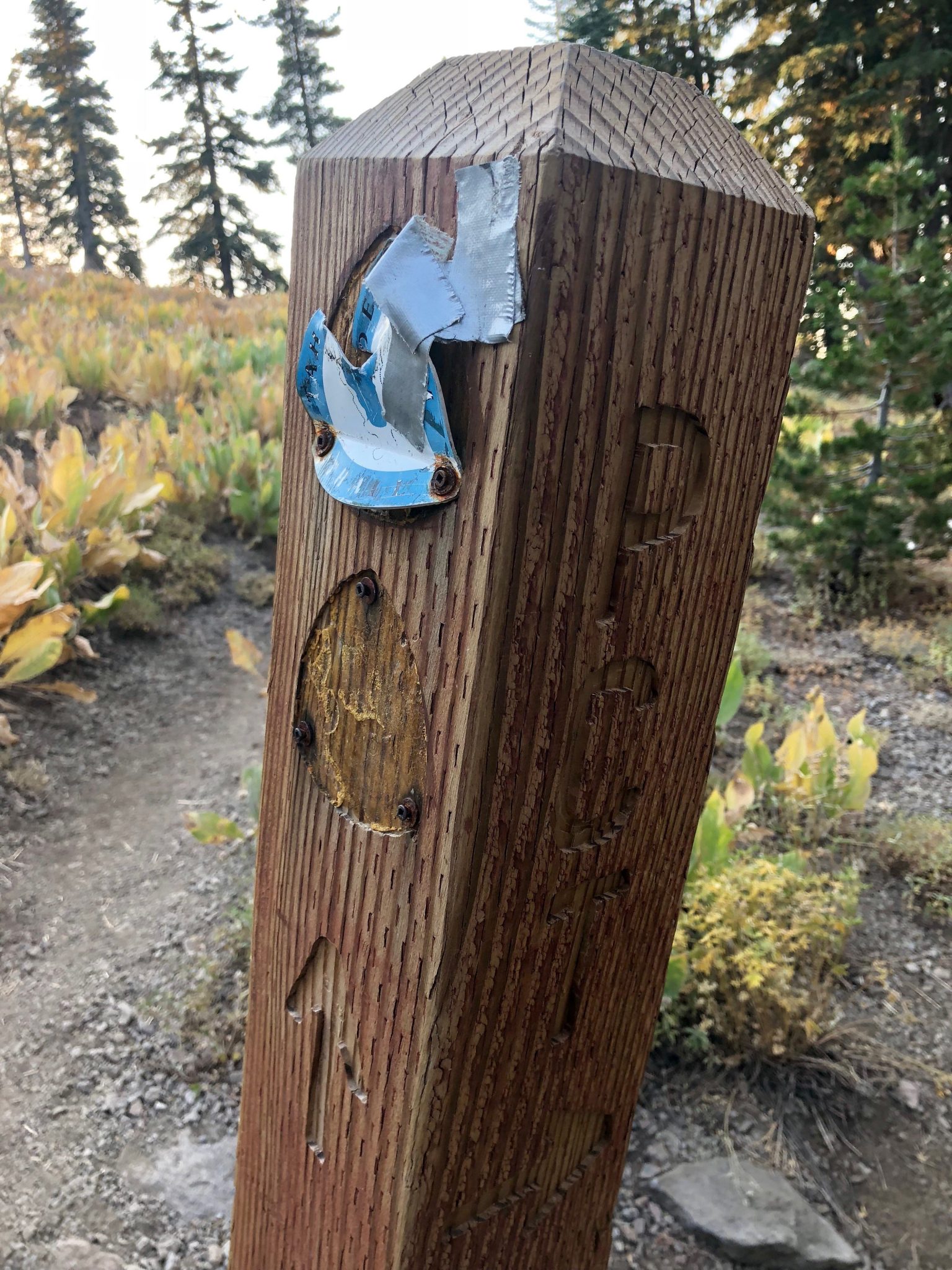 PCT Tahoe Rim Trail junction PCT - Tahoe Rim Trail junction
